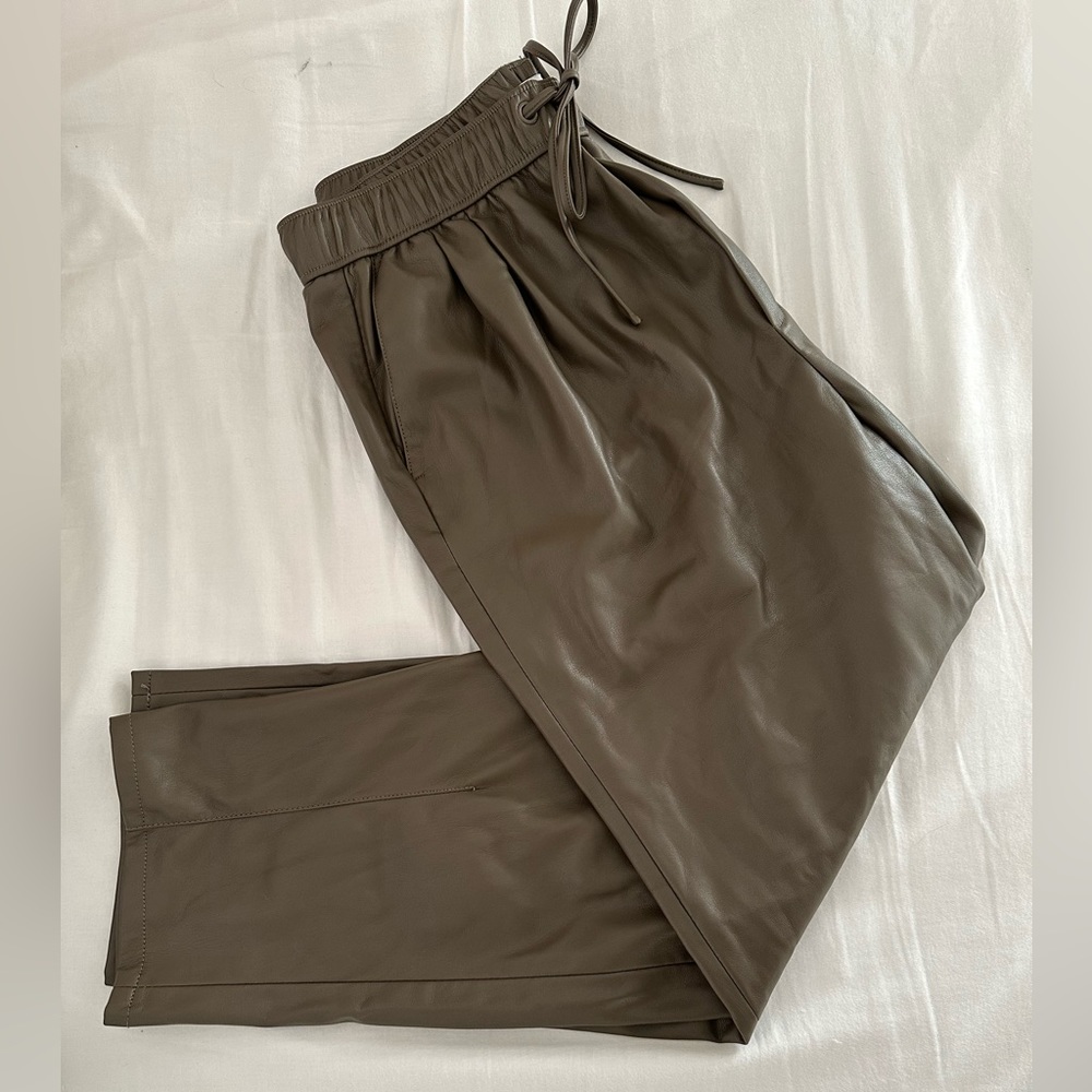 Zara Faux Leather Drawstring Pant